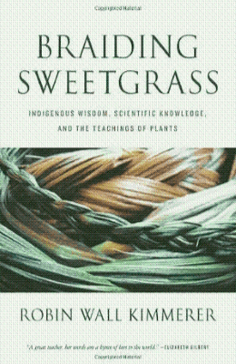 braiding sweetgrass by robin wall kimmerer