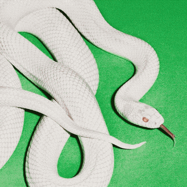 Private Music by Deftones