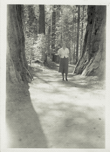 black and white photo of a group of a woman standing on a dirt path between two large trees