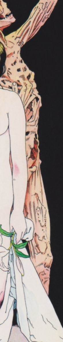 Suehiro Maruo artwork