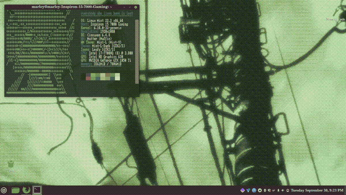 a green Linux Mint Cinnamon desktop with Neofetch displayed on its terminal