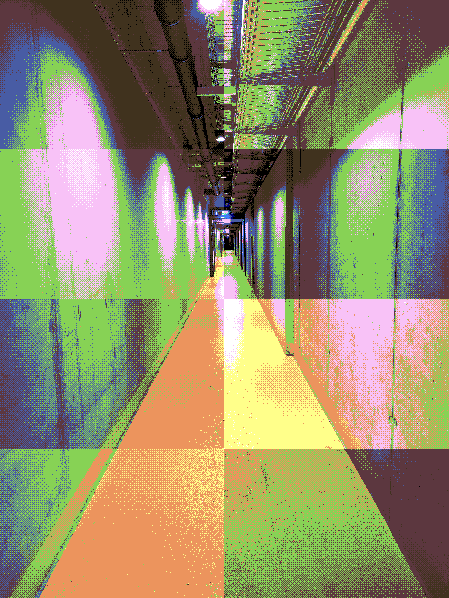 harshly lit, windowless concrete hallway