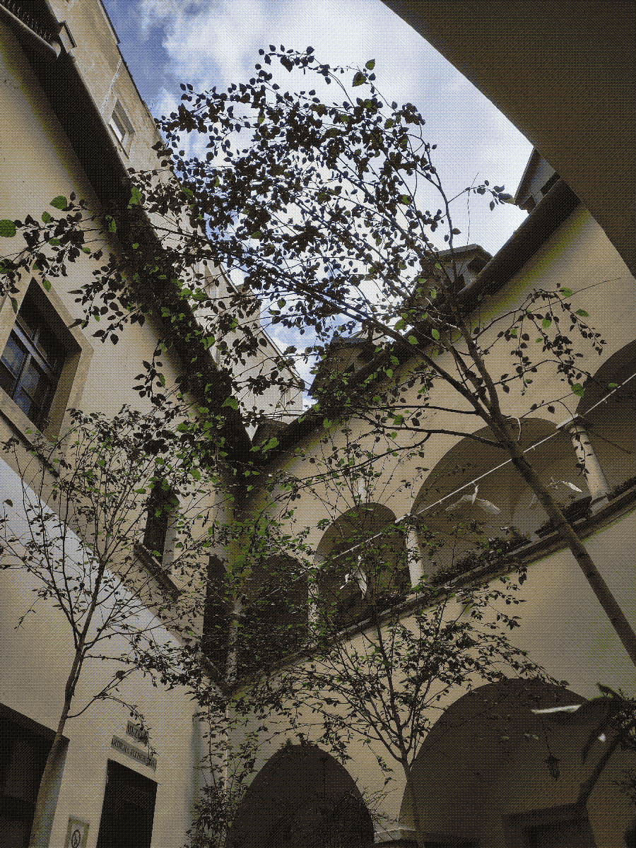 view from below of buildings with archways and trees