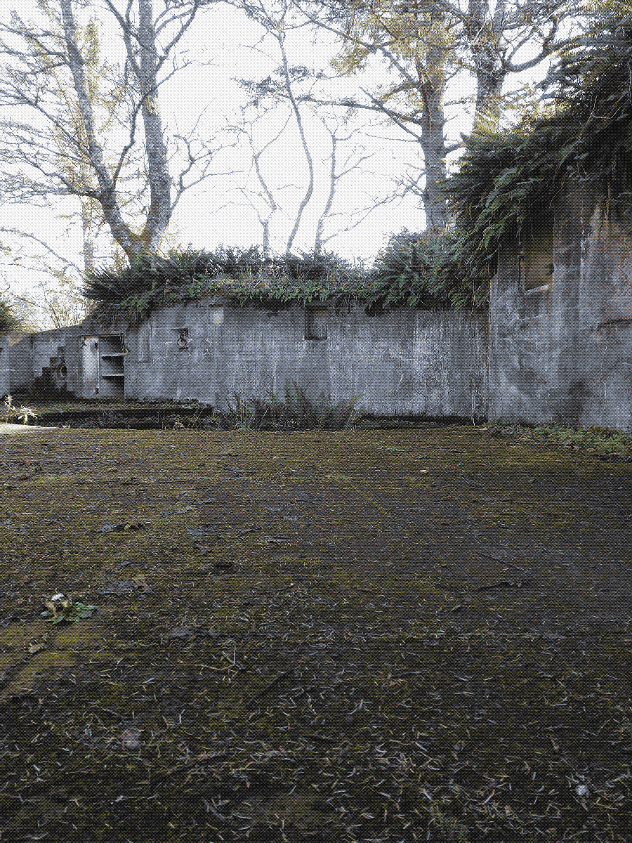 an old concrete structure overgrown with ferns and moss