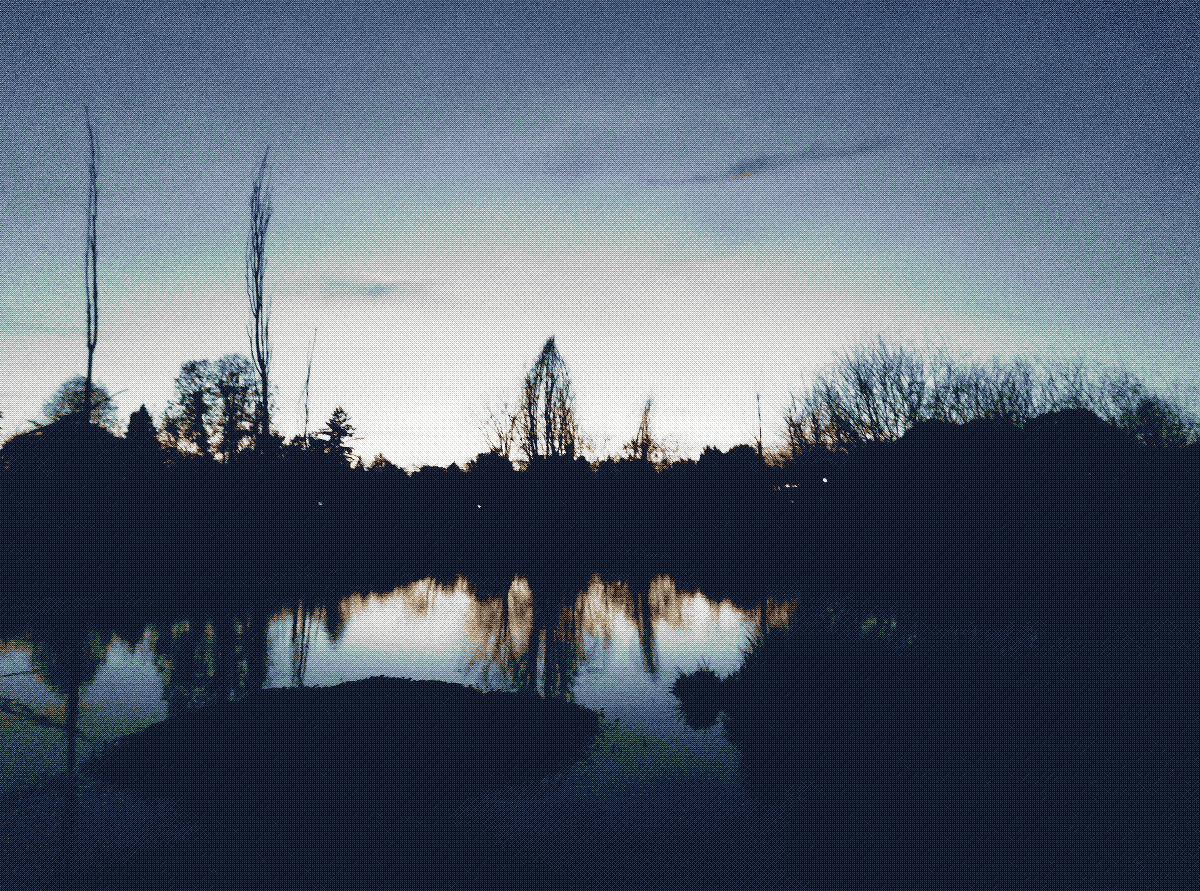 a lake at sunset with a treeline perfectly reflected in the water