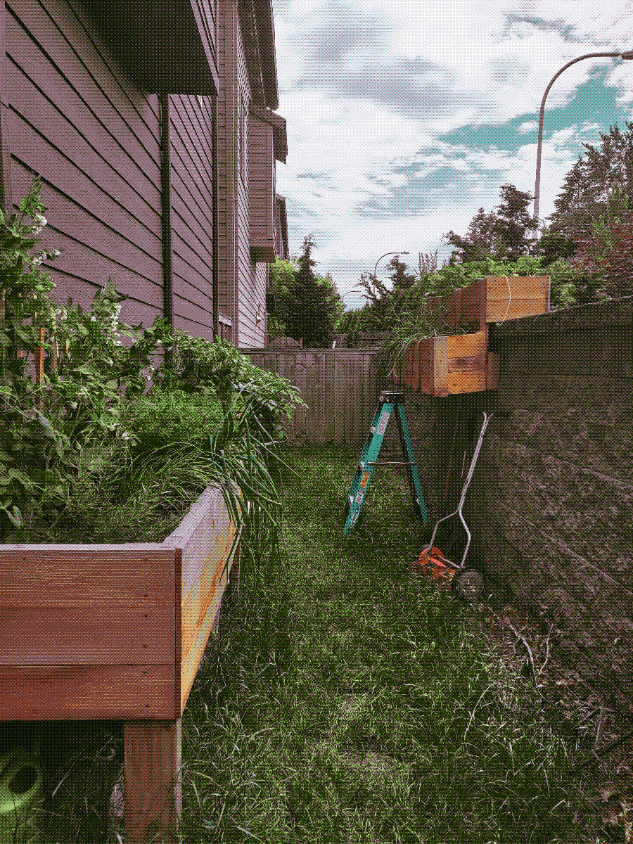 a small garden along the side of a house with raised beds full of greenery