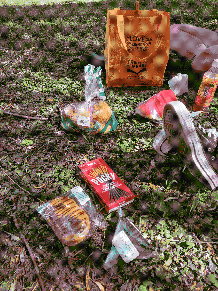 various snacks, including pocky, onigiri, and a bun, laid out on the ground for a picnic