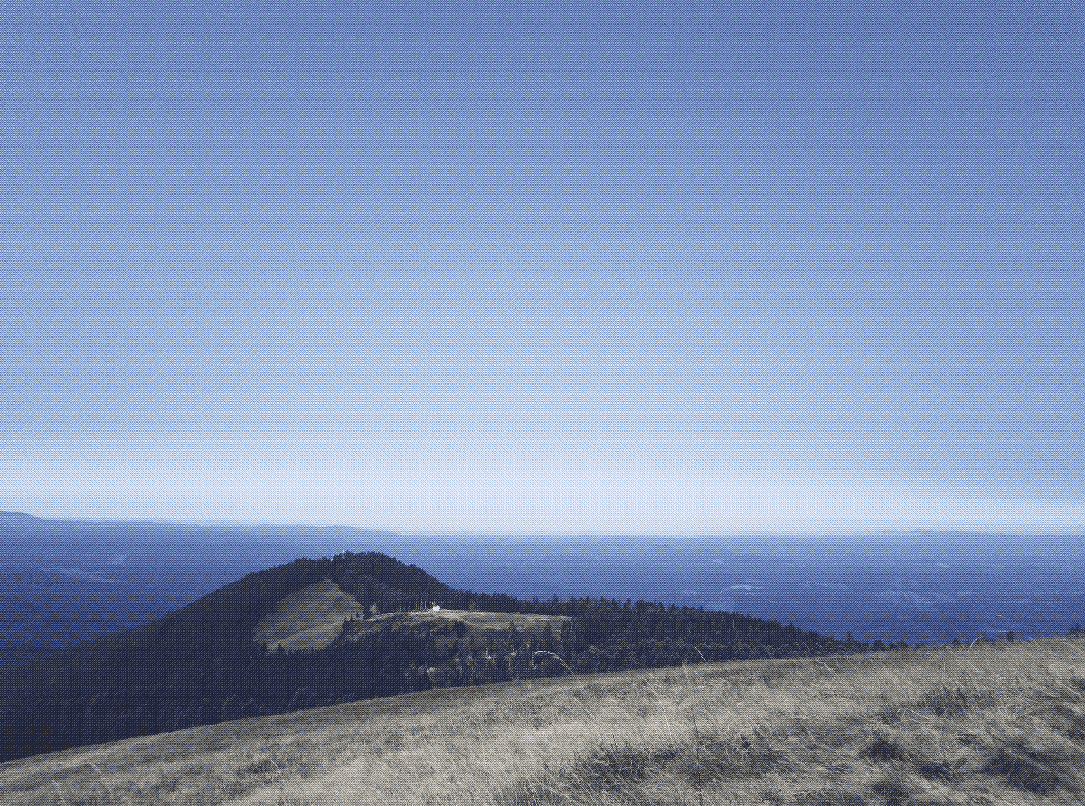 skyline from the top of a hill