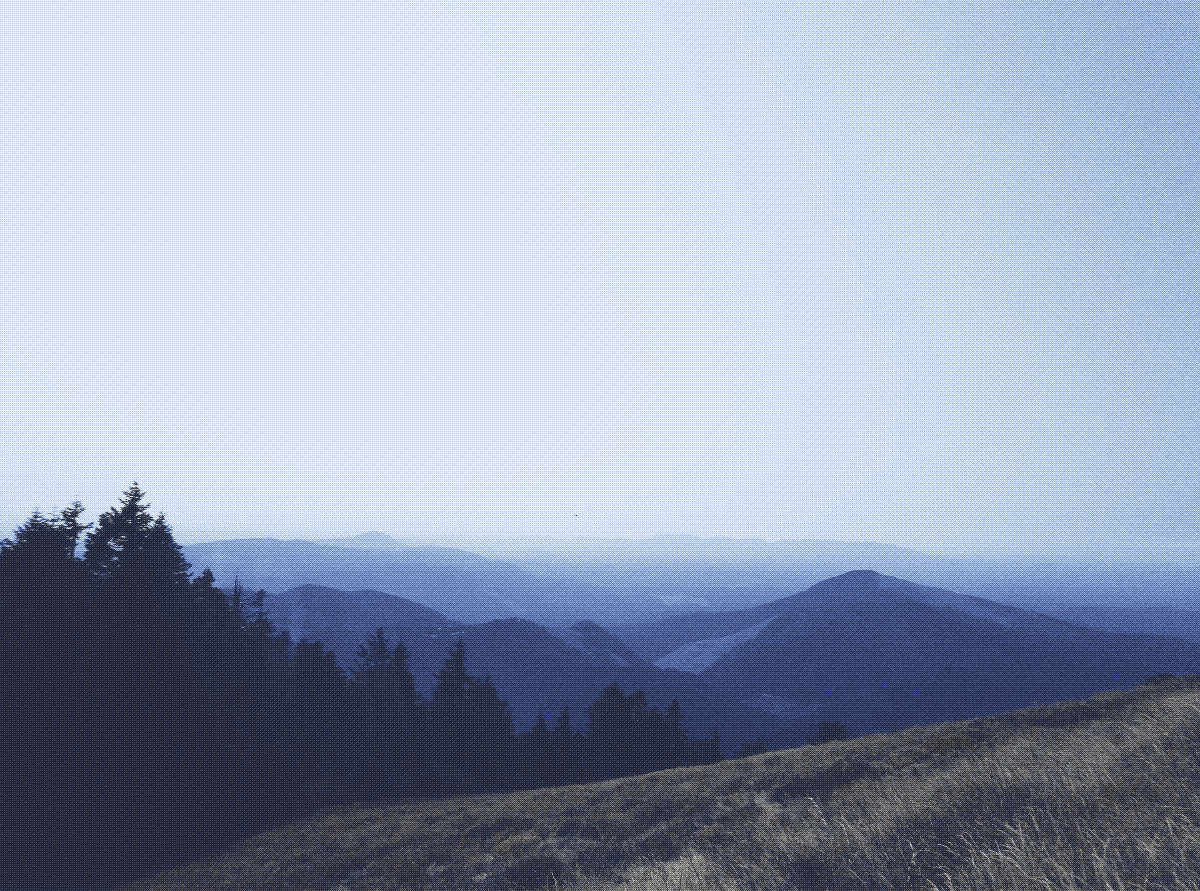 skyline from the top of a hill, showing forests and mountain peaks