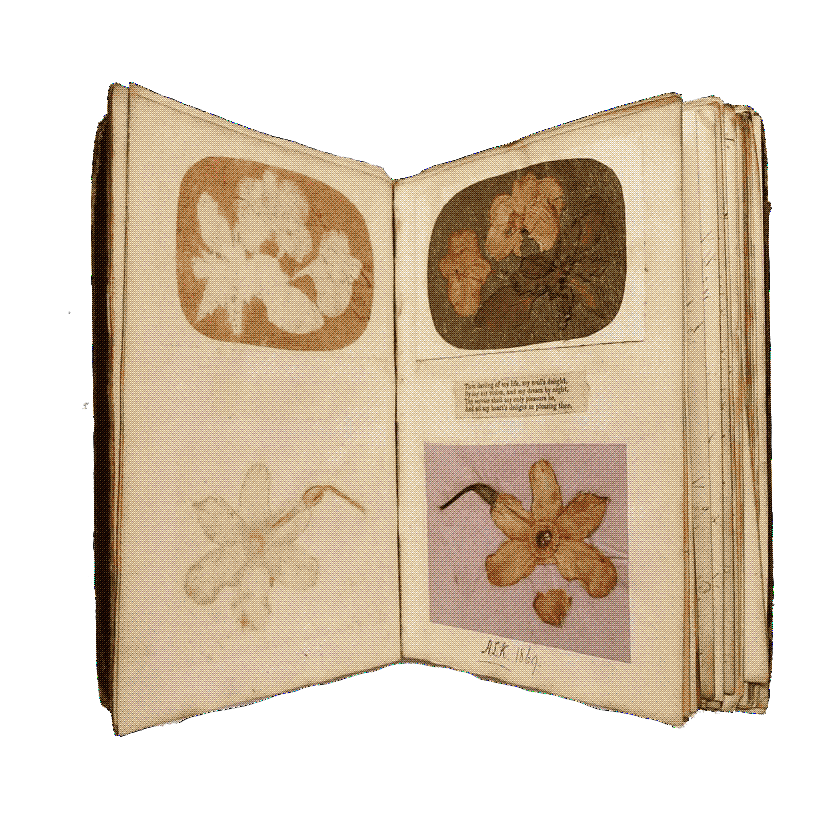 Eliza Telfer, 1868, journal