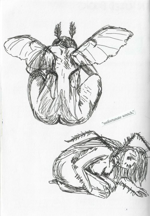 ink sketches of a girl turning into a bug