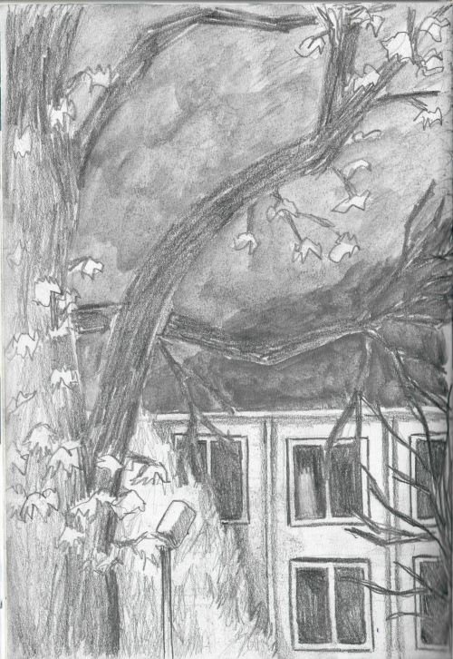 graphite and watercolor pencil sketch of a building and trees