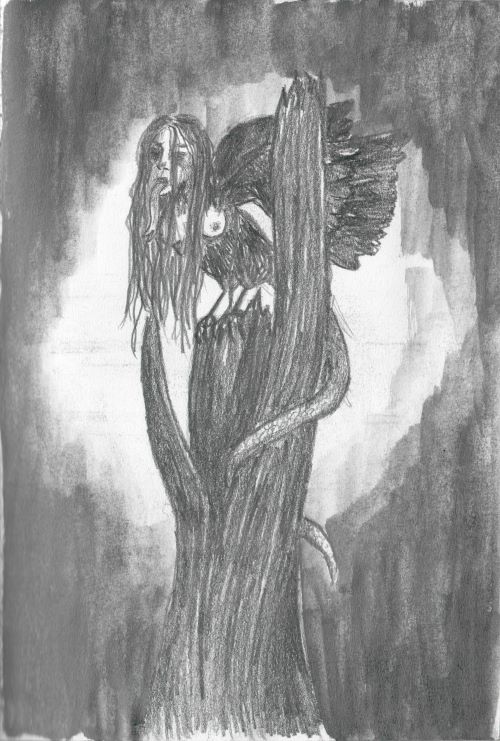 graphite and watercolor pencil sketch of a harpy in a tree