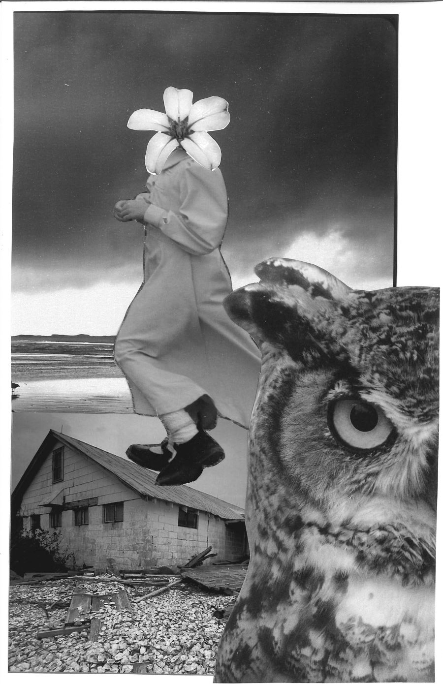 photo collage of a woman's body with a flower for a head set against a juxtaposed coastline and cottage with an owl in the foreground