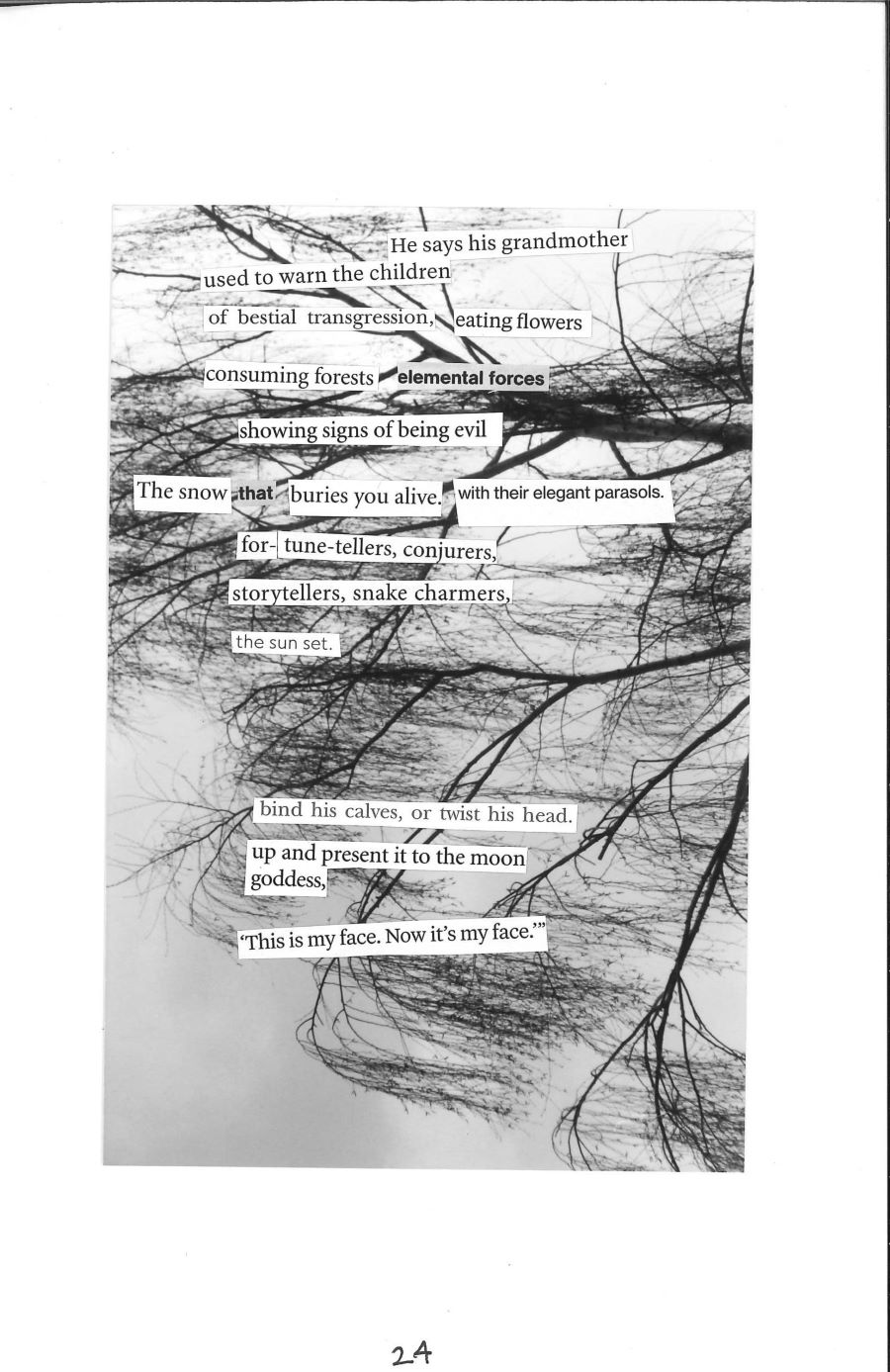 photo of willow tree branches with a collage poem overlaid, which reads he says his grandmother used to warn the children / of bestial transgression, eating flowers / consuming forests elemental forces / showing signs of being evil / the snow that buries you alive with their elegant parasols / fortune-tellers, conjurers / storytellers, snake charmers / the sun set. / bind his calves, or twist his head / up and present it to the moon goddess / this is my face. now it's my face