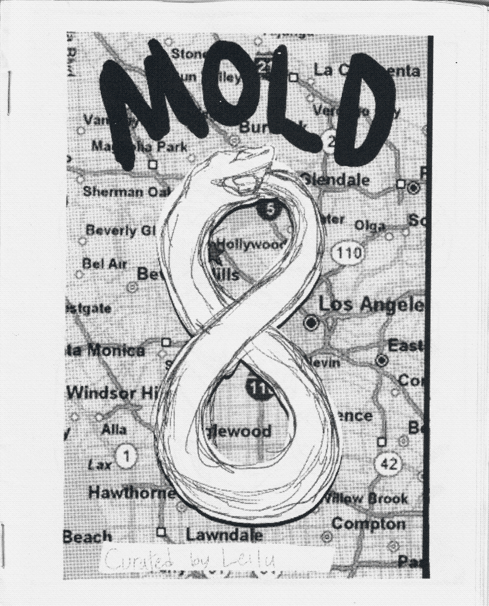 Mold Volume 8 by Leilu Wasielewski