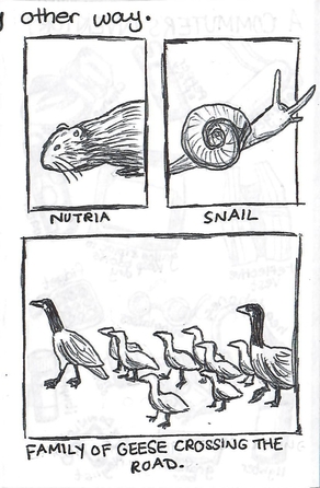 ballpoint drawings of a nutria, a snail, and a family of two adult geese and 8 baby geese crossing the road.