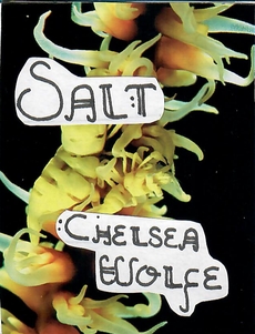 salt by chelsea wolfe