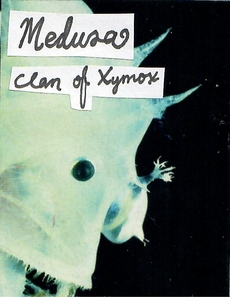 medusa by clan of xymox
